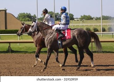 Horse Riding in Grand Prairie Texas