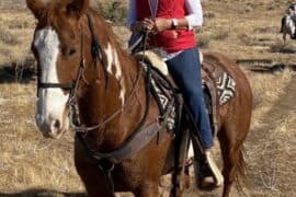 Horse Riding in Hawthorne California