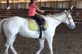 Horse Riding in Hayward California