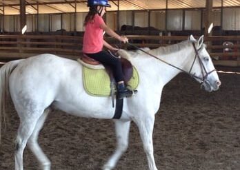 Horse Riding in Hayward California