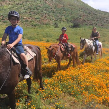 Horse Riding in Hemet California