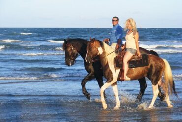 Horse Riding in Houston Texas