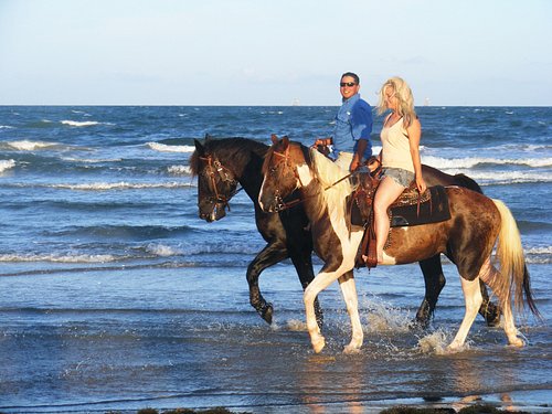 Horse Riding in Houston Texas