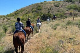 Horse Riding in Irvine California