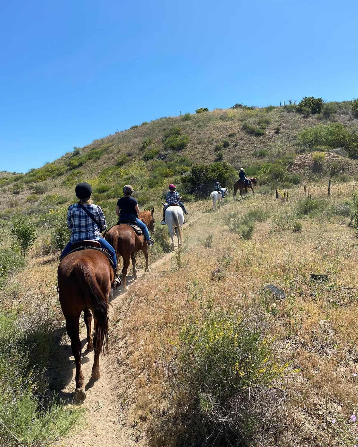 Horse Riding in Irvine California