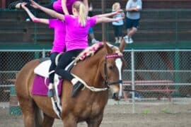 Horse Riding in Kennewick Washington