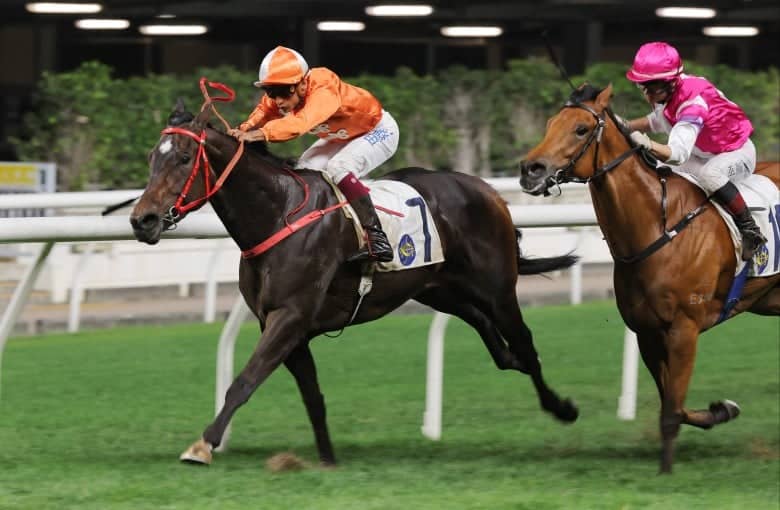 Horse Riding in Kwun Tong Kowloon