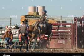 Horse Riding in Lancaster California