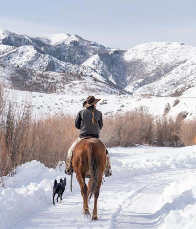 Horse Riding in Lehi Utah