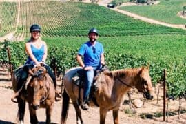 Horse Riding in Lodi California