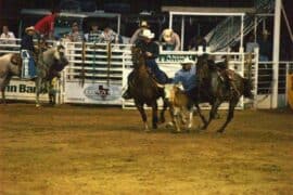 Horse Riding in Longview Texas