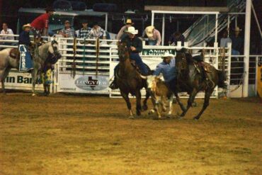 Horse Riding in Longview Texas