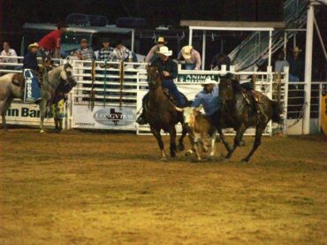 Horse Riding in Longview Texas