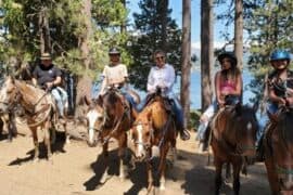 Horse Riding in Madera California