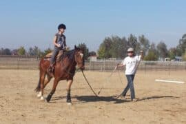 Horse Riding in Manteca California