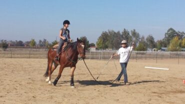 Horse Riding in Manteca California