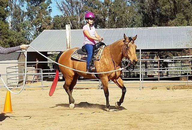 Horse Riding in Menifee California