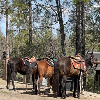 Horse Riding in Merced California