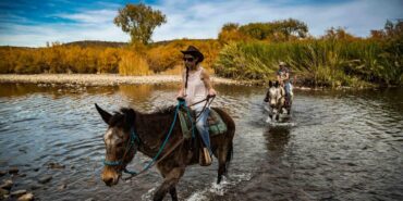 Horse Riding in Mesa Arizona