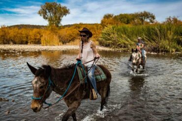 Horse Riding in Mesa Arizona