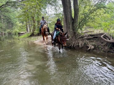 Horse Riding in Midland Texas