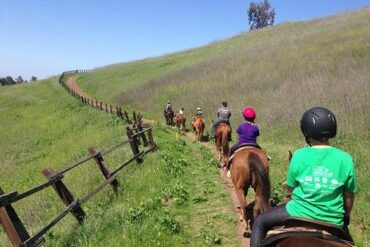 Horse Riding in Milpitas California