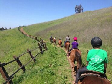 Horse Riding in Milpitas California