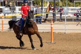 Horse Riding in Moreno Valley California