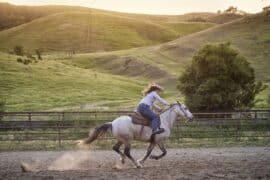 Horse Riding in Mountain View California