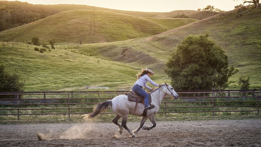 Horse Riding in Mountain View California