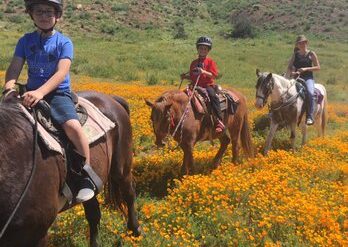 Horse Riding in Murrieta California