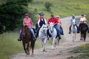 Horse Riding in Napa California