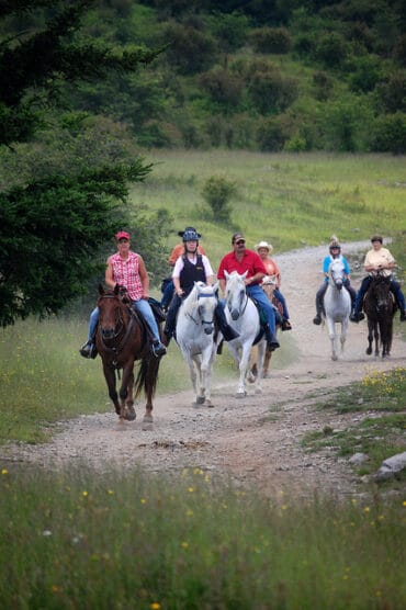 Horse Riding in Napa California