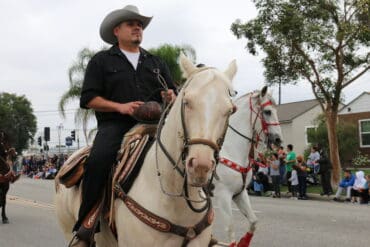 Horse Riding in Norwalk California