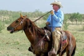 Horse Riding in Odessa Texas