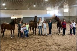 Horse Riding in Orem Utah