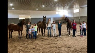 Horse Riding in Orem Utah