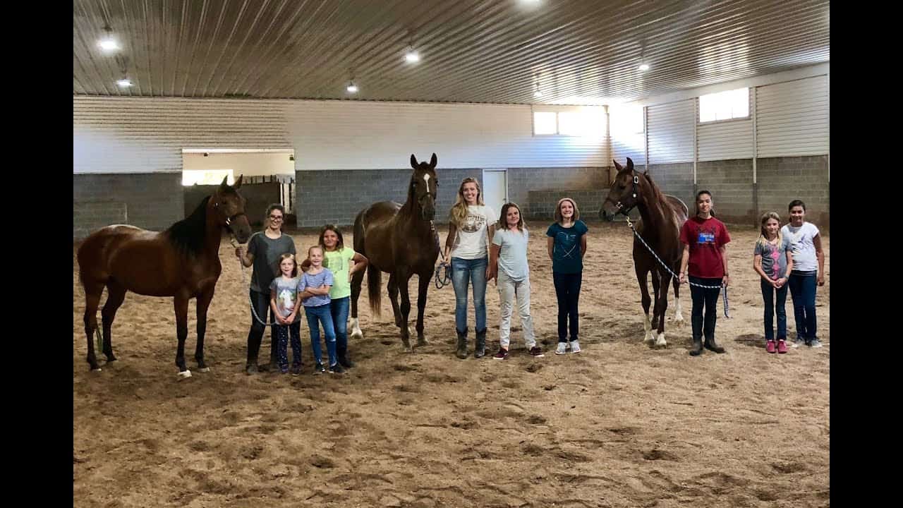 Horse Riding in Orem Utah