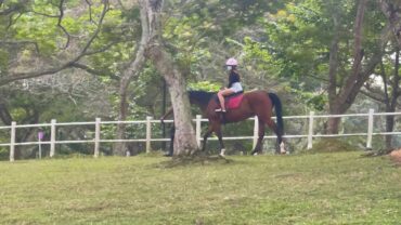 Horse Riding in Pasir Ris