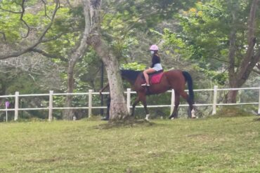 Horse Riding in Pasir Ris