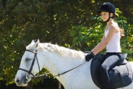 Horse Riding in Pearland Texas