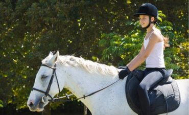 Horse Riding in Pearland Texas