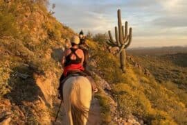 Horse Riding in Peoria Arizona