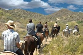 Horse Riding in Phoenix Arizona