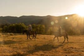 Horse Riding in Provo Utah