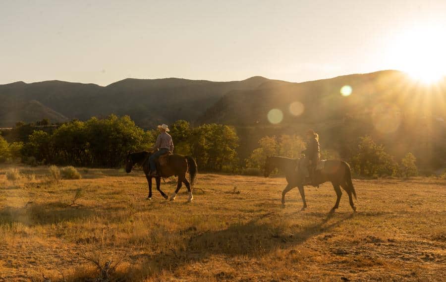 Horse Riding in Provo Utah