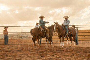 Horse Riding in Queen Creek Town Arizona