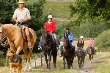 Horse Riding in Queenstown Singapore