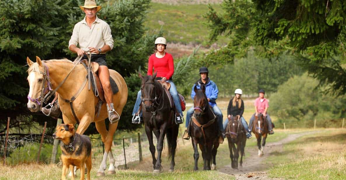 Horse Riding in Queenstown Singapore