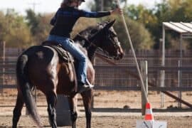 Horse Riding in Rancho Cordova California